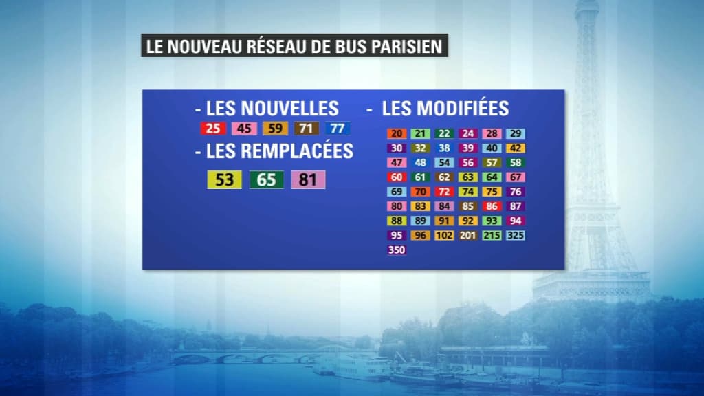 bus bus