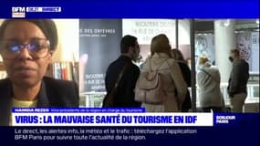 Tourisme en Île-de-France: "tant que le trafic aérien ne reprendra pas, il n'y aura pas de touristes étrangers"
