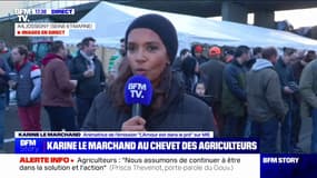 "C'était très important d'être là auprès d'eux": L'animatrice Karine Le Marchand sur un point de blocage en Seine-et-Marne pour soutenir les agriculteurs