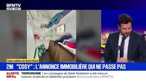 Deux mètres "cosy" : l'annonce immobilière qui ne passe pas - 10/11
