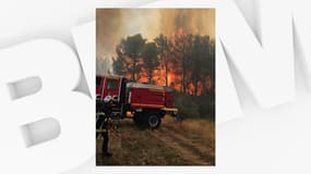 Des pompiers tentent d'éteindre un feu de forêt dans l'Hérault, le 29 juillet 2024