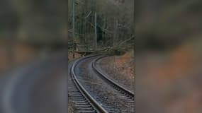 Un arbre est tombée sur la voie de la ligne J.