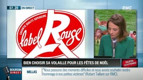 Dupin Quotidien : Bien choisir sa volaille pour les fêtes de Noël - 20/12