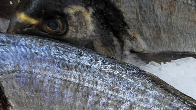L'association de consommateurs CLCV dénonce des problèmes d'étiquetage récurrents sur les produits de la mer. (Photo d'illustration)
