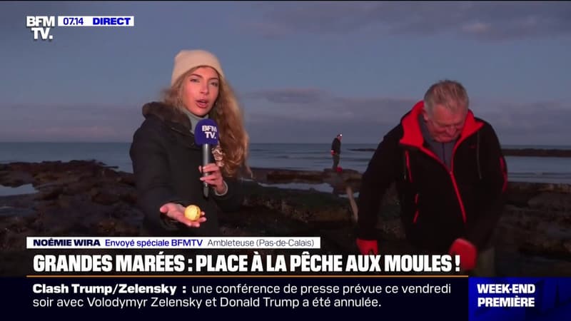 Grandes marées: l'occasion idéale pour la pêche à la moule dans le Pas-de-Calais