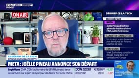 Meta : Joëlle Pineau annonce son départ - 02/04