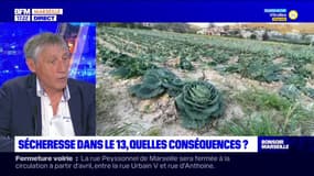 Sécheresse dans les Bouches-du-Rhône: le président de la chambre d'agriculture estime probable un changement de cultures