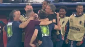 L'explosion de joie de Luis Enrique sur les buts du PSG en finale de la Ligue des champions