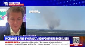 Incendie dans l'Hérault: "On a eu huit départs de feu dans l'après-midi", assure François-Xavier Lauch 