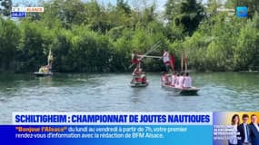 Le championnat de joutes nautiques se déroule ce week-end à Schiltigheim