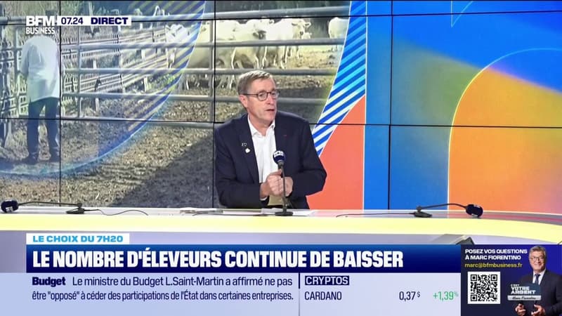 Le nombre d'éleveurs continue de baisser