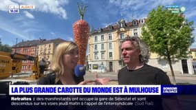 La plus grande carotte du monde est à Mulhouse