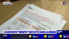 Nord-Pas-de-Calais: les psychologues demandent une révision du dispositif '"MonPsy"