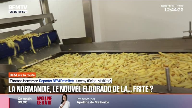 "C'est un produit qu'on a préparé pour vous": des frites fraîches pré-cuites, une innovation 100% normande