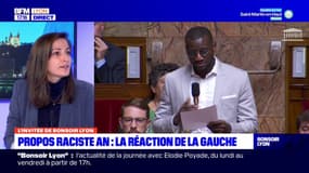 Propos racistes à l'Assemblée: la sanction contre de Fournas, "un symbole fort"