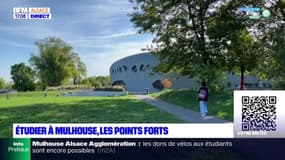 Mulhouse: étudier dans la 35ème meilleure ville étudiante de France, quels sont les points forts? 