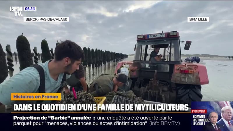 Dans le quotidien d'une famille de mytiliculteurs