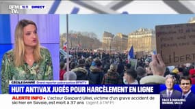Huit antivax français vont être jugés pour harcèlement en ligne