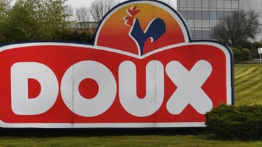 Le volailler Doux intéresse plusieurs repreneurs, dont la région Bretagne. (image d'illustration)