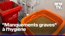  "Manquements graves à l'hygiène": un restaurant Burger King contraint de fermer en Franche-Comté 