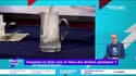 C’est quoi le progrès ? : Comment en finir avec le fléau des déchets plastiques ? - 28/01