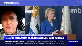 Accord avec le Mercosur: "On le prend comme un coup de couteau dans le dos", dénonce Patrick Benezit, vice-président de la FNSEA