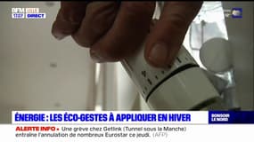 Énergie: les communes et entreprises dressent le bilan de leurs gestes pour réaliser des économies