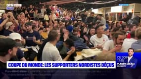 Nord: la déception des supporters après la défaite des Bleus en finale de la Coupe du monde