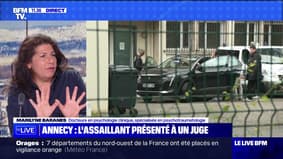 Attaque au couteau à Annecy : l'assaillant refuse de coopérer - 10/06