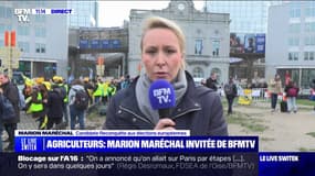 "C'est aussi la faute de l'Europe": Marion Maréchal s'exprime depuis Bruxelles sur la colère des agriculteurs