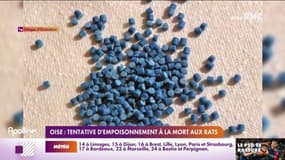 Oise: tentative d'empoisonnement à la mort-aux-rats