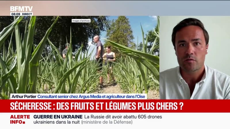 "On a une catastrophe assurée pour la récolte de maïs cette année", prévient cet agriculteur de l'Oise