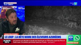 Côte d'Azur: éleveurs et associations de protection animale, un dialogue impossible?