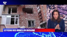 Le fléau des mines en Ukraine - 06/04