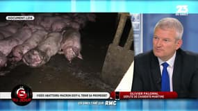 La GG du jour: Doit-on rendre obligatoire les caméras dans les abattoirs ? - 18/04
