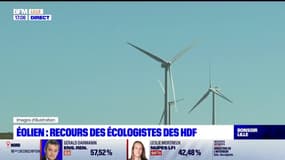 Hauts-de-France: recours des écologistes contre une subvention à des associations anti-éoliennes