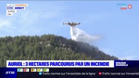 Incendie à Auriol: les flammes ont désormais parcouru trois hectares