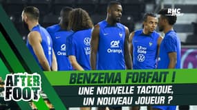 Equipe de France : Benzema forfait, "ça rebat les cartes en défense" veut croire MacHardy
