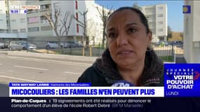 Micocouliers: les familles n'en peuvent plus