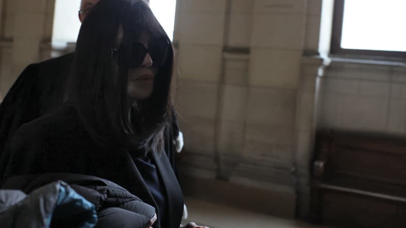 Isabelle Adjani soupçonnée de fraude fiscale: de 18 à 24 mois de prison avec sursis requis en appel