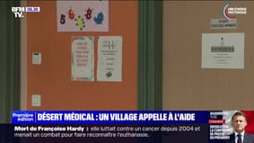 Désert médical: ce village de la Marne diffuse un clip vidéo pour attirer les praticiens  