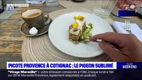 Passions Provence du samedi 25 mai 2024 - Picote Provence à Cotignac, le Pigeon Sublimé 