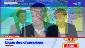 BFM Nice et vous : arbres en bord de route, qui doit les élaguer ?