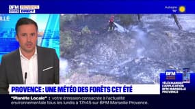Provence: une météo des forêts diffusée cet été