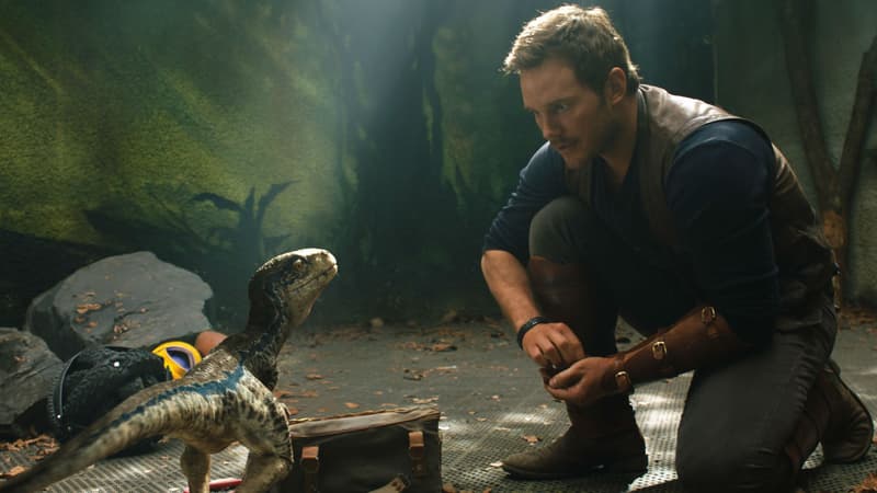 Chris Pratt dans "Jurassic World: Fallen Kingdom"