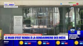 Château-Arnoux: un homme suspecté d'avoir agressé sa femme s'est rendu à la gendarmerie