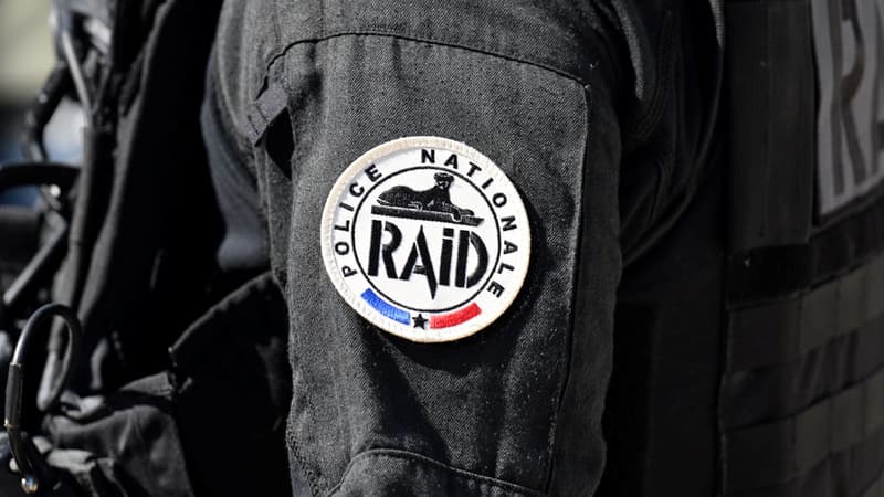 Le Raid (illustration)