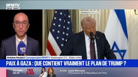 Paix à Gaza: Donald Trump met la pression sur le Hamas