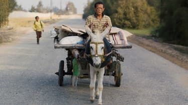 "Yomeddine", de A.B. Shawky, en compétition officielle au Festival de Cannes 2018