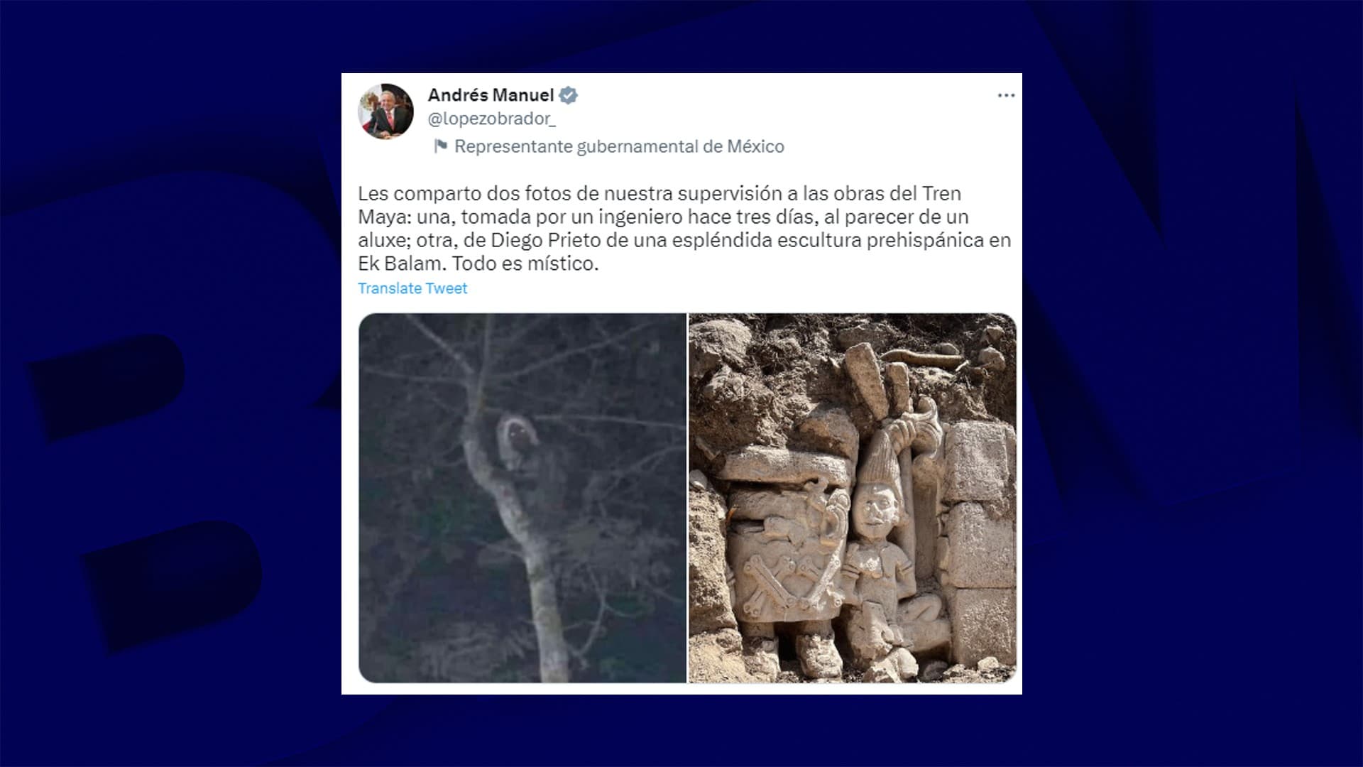 Presidente mexicano publica foto de Maya-Elbe, Twitter grita foto falsa